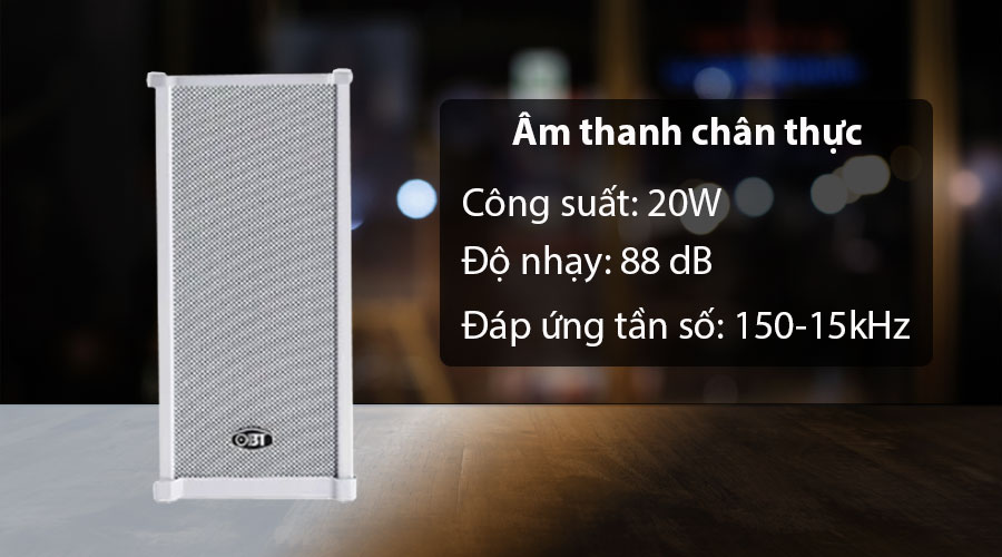Loa Cột OBT-902 3