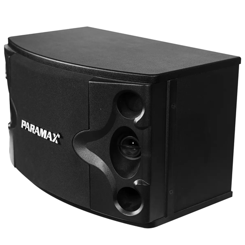 Loa karaoke Paramax P300 chính hãng