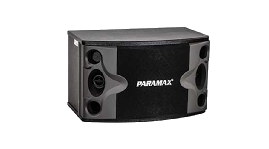 Loa karaoke Paramax P300