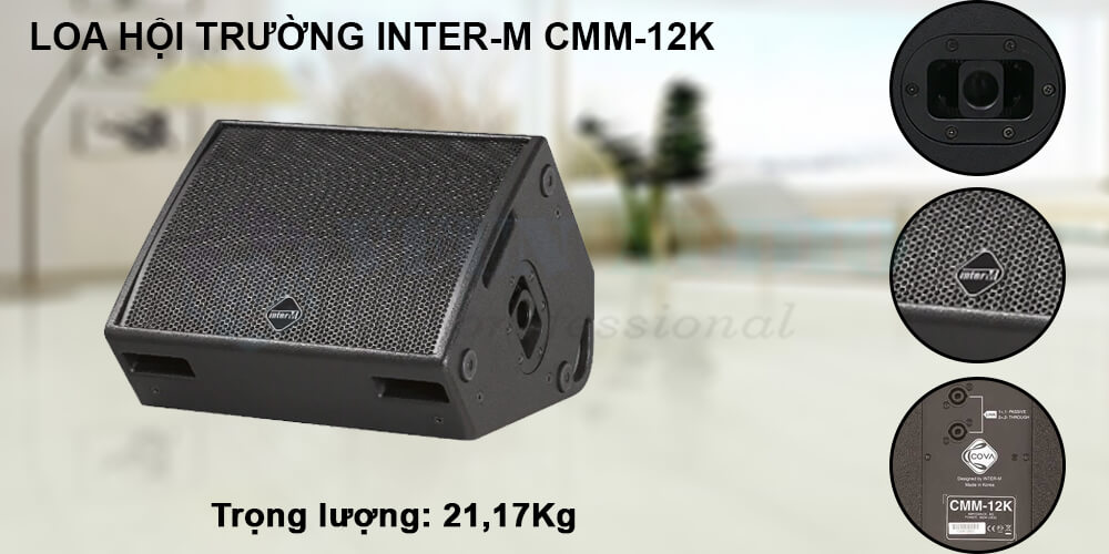 Loa hội trường Inter-M CMM-12K chi tiết
