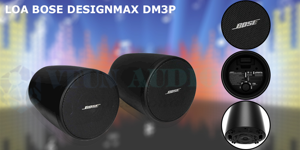 Loa Bose DesignMax DM3P chi tiết