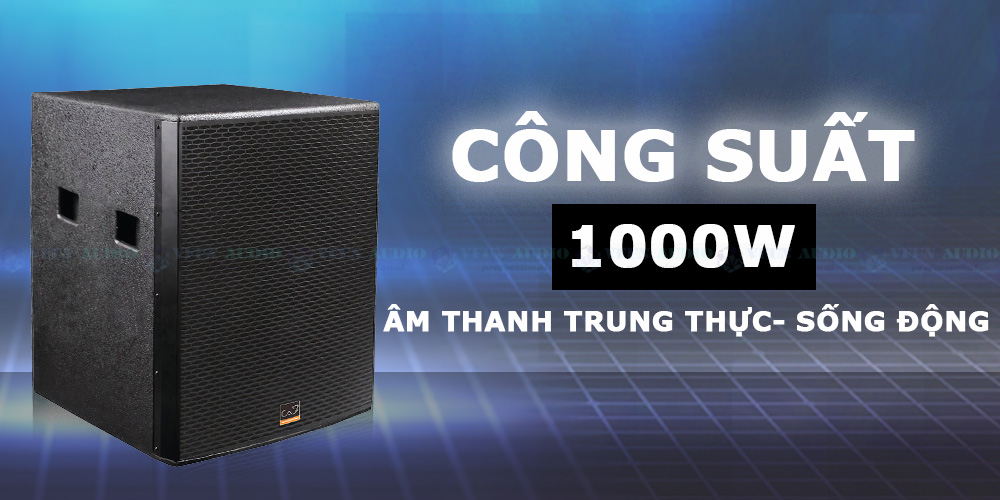 Loa Subwoofer CAF W-15SPro cao cấp