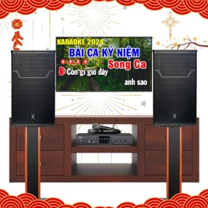 Dàn Karaoke Gia Đình Giá Rẻ VF43