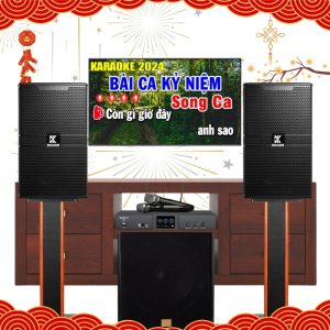 Dàn Karaoke Gia Đình VF45