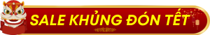 sale khủng đón tết 2024