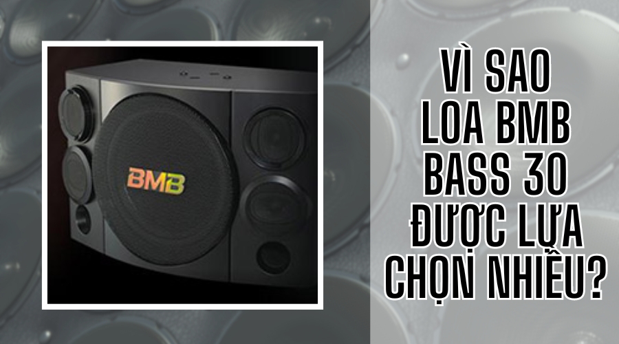 Vì sao loa bmb bass 30 được lựa chọn nhiều
