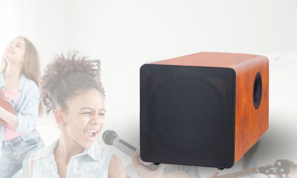Loa Sub Điện C-PSound H12 cao cấp giá tốt