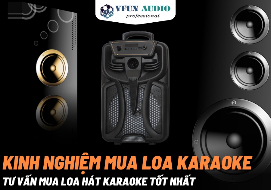 Kinh nghiệm mua loa karaoke, Tư vấn mua loa hát karaoke tốt nhất