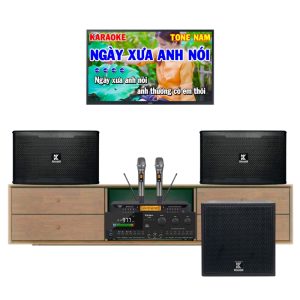 Dàn Karaoke Gia Đình Giá Rẻ VF56