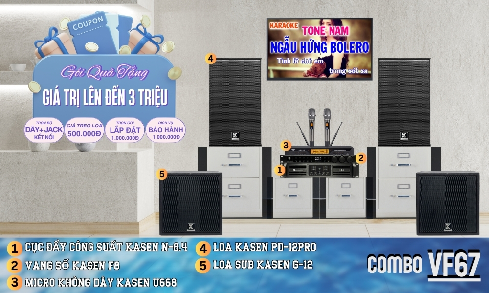 Baner Bộ Karaoke Dành Cho Gia Đình VF67