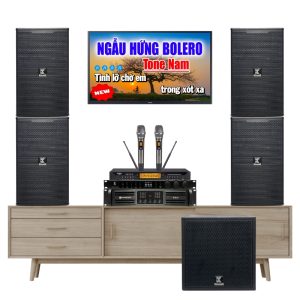 Dàn Karaoke Gia Đình VF62