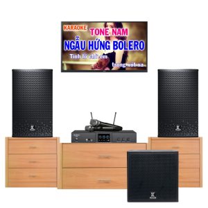 Dàn Karaoke Gia Đình VF63