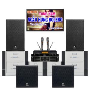 Bộ Karaoke Dành Cho Gia Đình VF67