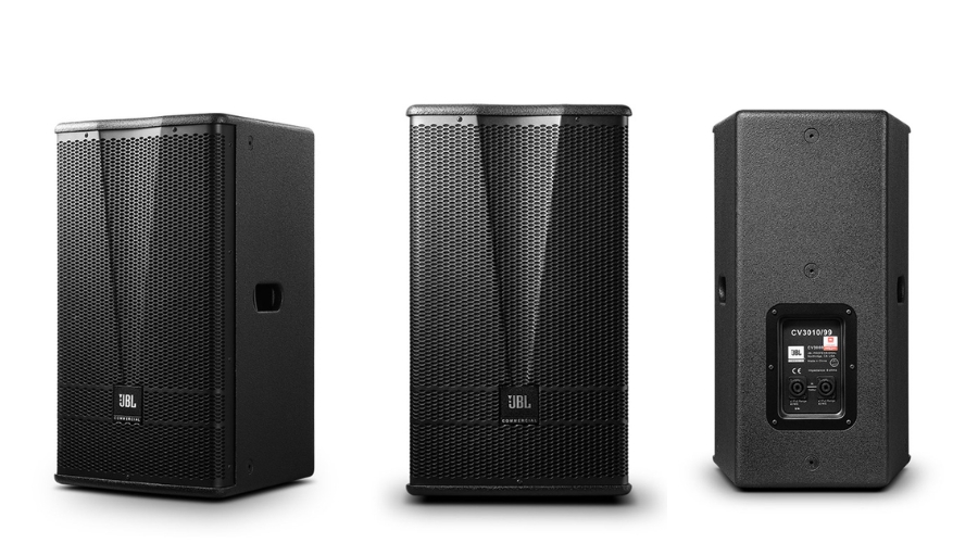 Loa JBL CV3010/99