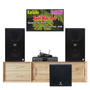 Bộ Dàn Karaoke Loa BMB VF104