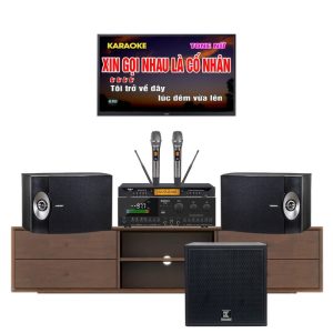 Dàn Karaoke Loa Bose 301 Seri 5 VF94