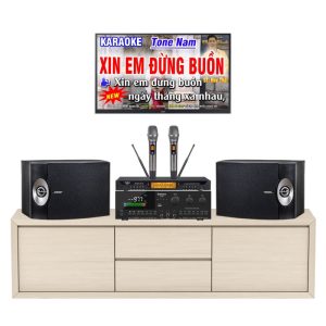 Dàn Karaoke Loa Bose Giá Rẻ VF93