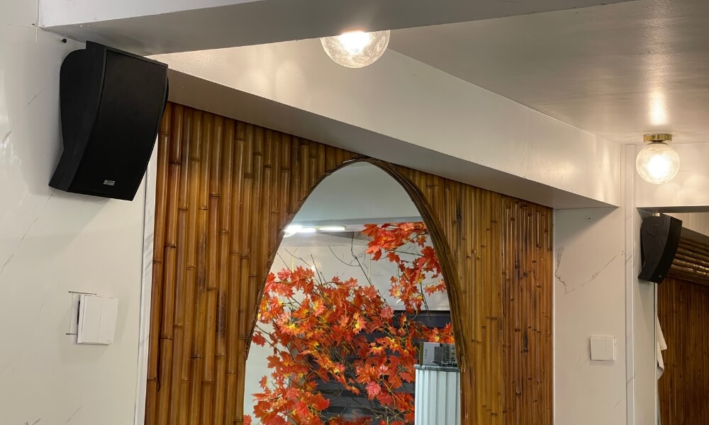 Lắp Đặt Âm Thanh Nhạc Nền Cho Spa Carat Beauty - Hà Nội Loa Treo Tường