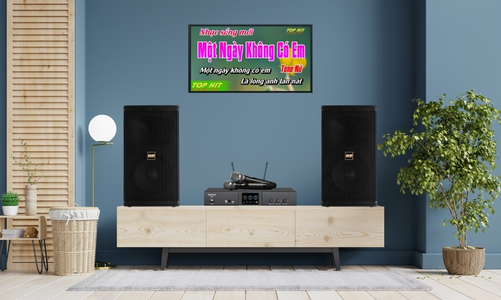 Loa karaoke BMB CSS 1210SE chính hãng