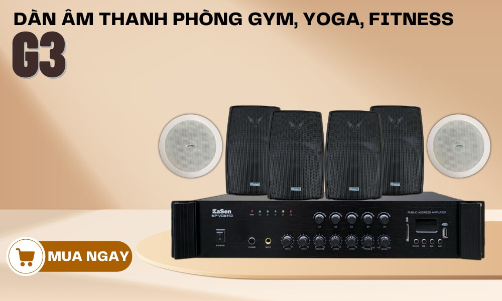 Baner Dàn Âm Thanh Phòng Gym, Yoga, Fitness G3