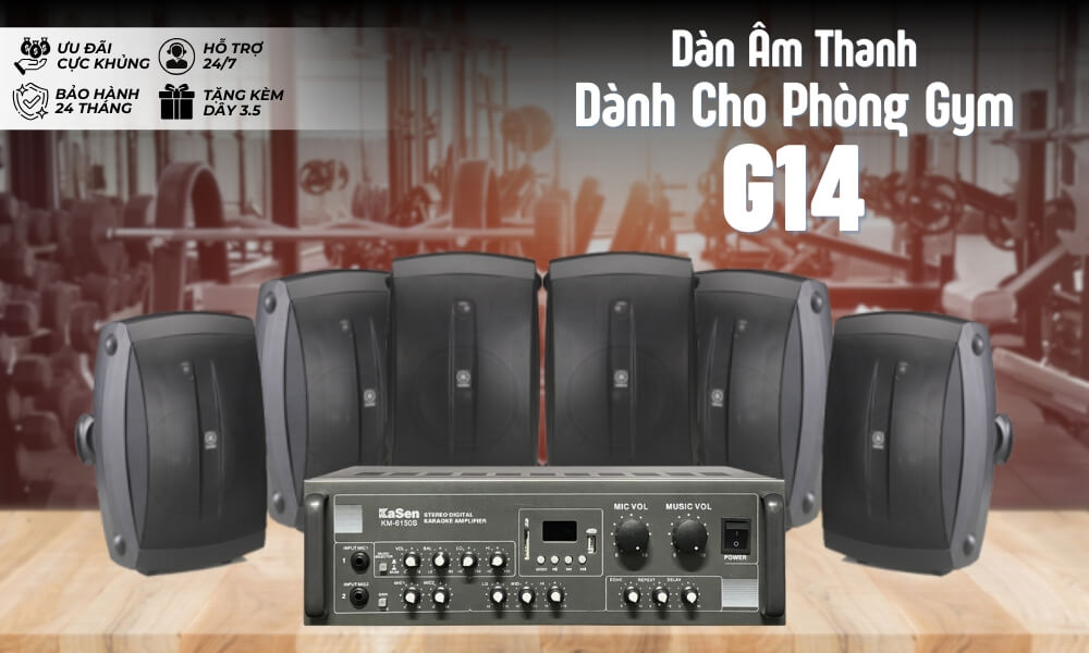 Baner Dàn Âm Thanh Phòng Gym, Yoga, Fitness Giá Tốt G14