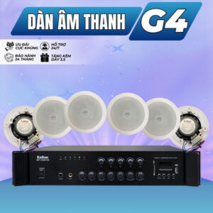 Dàn Âm Thanh Phòng Fitness, Gym, Yoga Giá Rẻ G4