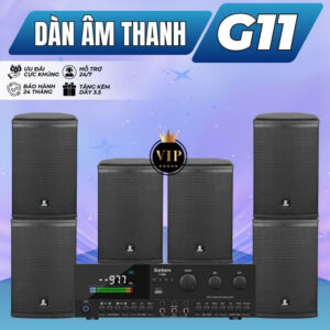 Dàn Âm Thanh Phòng Gym, Yoga, Fitness G11