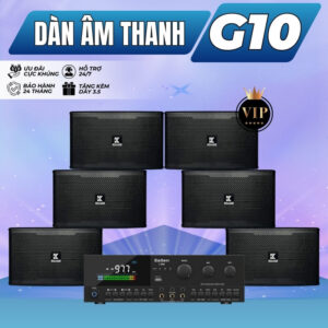 Dàn Âm Thanh Phòng Tập Gym, Yoga, Fitness Giá Tốt G10