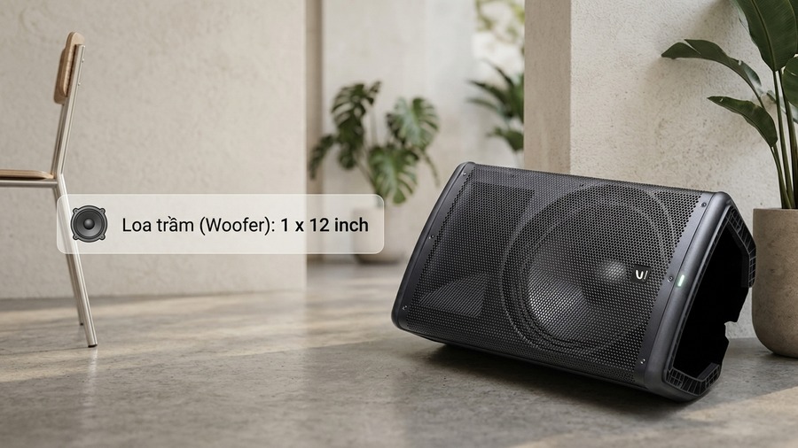 Loa C-PSound LB-12 Giá Rẻ